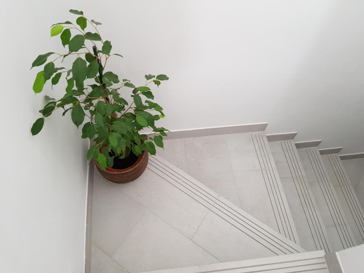 Loft Abantos - 120M2 Mas Terraza Y Jardin Independiente Сан-Лоренсо-де-Ель-Ескоріаль Екстер'єр фото